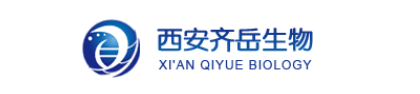QQ截圖20211231110516.png