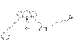 BDP 581/591 amine，cas:2183472-97-9.png