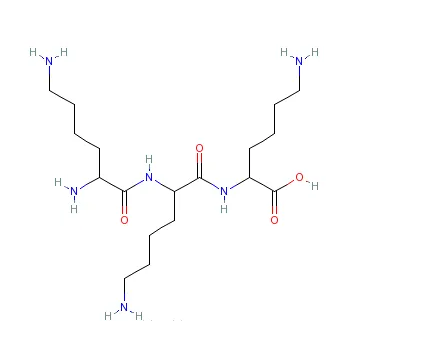 多聚-L-賴氨酸