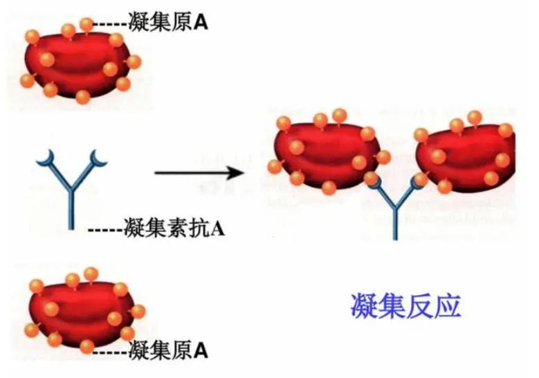 微信截圖_20220426144038.png