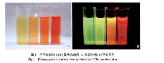 CdTe發光量子點