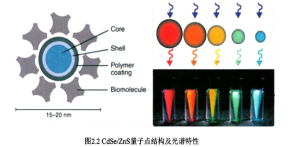 CdSe/ZnS近紅外二區量子點