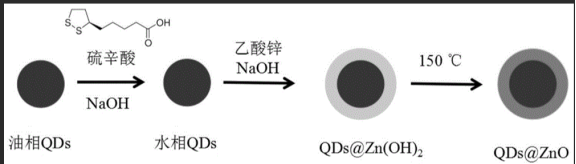 摻雜釓(Gd)的ZnO量子點偶聯硼霉素