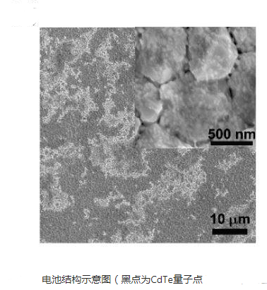 碲化鎘量子點偶聯(lián)喜樹堿