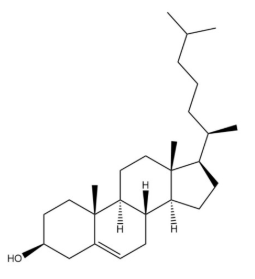 膽固醇
