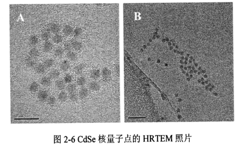 抗菌肽-CdSe量子點