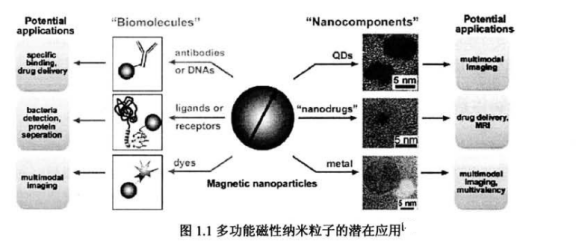 Fe304磁性/ZnS量子點(diǎn)