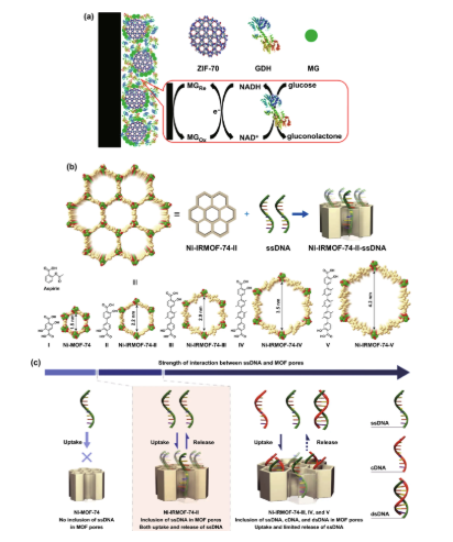 金屬有機框架MOF-53NPs