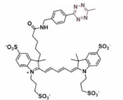 熒光染料Alexa Fluor 647 Me-Tetrazine甲基四嗪的溶解度