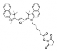 熒光染料Cyanine3.5 NHS ester/琥珀酰亞胺活化酯(Methyl)  CAS:2231670-85-0，脂性Cy3.5 活性酯的溶于哪些溶劑？