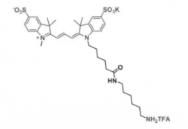 熒光染料diSulfo-Cy3 amine/NH2/氨基，二磺酸基Cy3-胺，CAS:2183440-43-7 是什么顏色的？