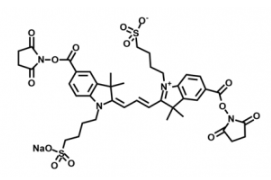 水溶性熒光染料diSulfo-Cy3 bis-NHS ester/琥珀酰亞胺活化酯，二磺酸基Cy3-二活性酯，Ex/Em(nm) 557/575