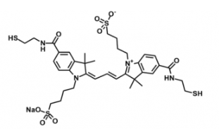 水溶性熒光染料diSulfo-Cy3 bis-Thiol/SH，磺酸基Cy3-二巰基產品參數性質解析