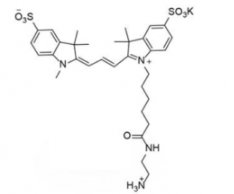 水溶性磺酸基熒光染料diSulfo-Cy3 C2 amine/NH2/氨基，Ex/Em(nm) 552/563