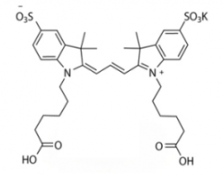 水溶性磺酸基熒光染料diSulfo-Cy3 carboxylic acid/COOH/羧基羧酸(Di)，CAS:146397-17-3