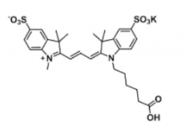 水溶性二磺酸基熒光染料diSulfo-Cy3 carboxylic acid/COOH/羧基羧酸(Methy)，CAS:1121756-11-3