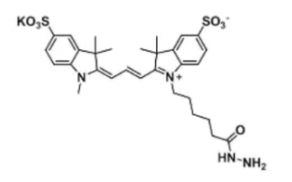 水溶性二磺酸基熒光染料diSulfo-Cy3 hydrazide/N3/疊氮，CAS:2144762-62-7，Ex/Em(nm) 548/563