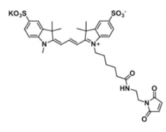 水溶性磺酸基熒光染料diSulfo-Cy3 maleimide/馬來酰亞胺，CAS:1656990-68-9溶解度解析