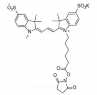 水溶性diSulfo-Cy3 NHS ester/甲基琥珀酰亞胺活化酯 (Methyl)，CAS:1424150-38-8是什么顏色的？
