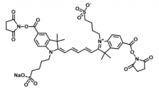 水溶性磺酸基熒光染料diSulfo-Cy5 bis-NHS ester/琥珀酰亞胺活化酯 ，溶解性：溶于water,alcohols, DMSO, DMF