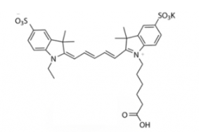 水溶性二磺酸基熒光染料diSulfo-Cy5 carboxylic acid/COOH/羧基羧酸(Ethyl)，CAS:146368-11-8，Ex/Em(nm) 646/664