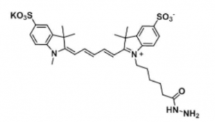 水溶性二磺酸基熒光染料diSulfo-Cy5 hydrazide/N3/疊氮，CAS:2055138-61-7，Ex/Em(nm) 646/662