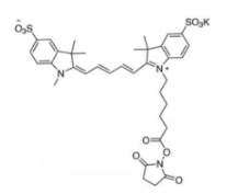 水溶性二磺酸基熒光染料diSulfo-Cy5 NHS ester/琥珀酰亞胺活化酯(Methyl，甲基)，CAS:2230212-27-6;937739-58-7