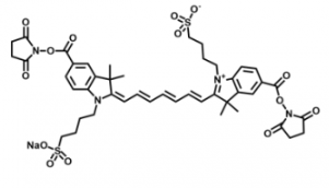 水溶性二磺酸基diSulfo-Cy7 Bis-NHS ester/琥珀酰亞胺活化酯 的溶解性如何，溶于哪些溶劑？