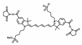 水溶性吲哚菁綠disulfo-ICG Bis-NHS ester/琥珀酰亞胺活化酯(Bis），激發發射波長Ex/Em(nm) 755/787