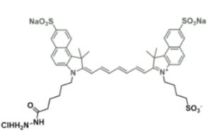 水溶性吲哚菁綠熒光染料diSulfo-ICG Hydrazide/酰肼，Ex/Em(nm) 751/830