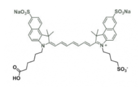 吲哚菁綠熒光染料ICG carboxylic acid/COOH/羧基羧酸，CAS:181934-09-8，Cy7.5 Acid(mono SO3)