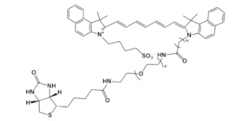 吲哚菁綠-聚乙二醇-生物素，ICG-PEG-Biotin產(chǎn)品參數(shù)及溶解度解析