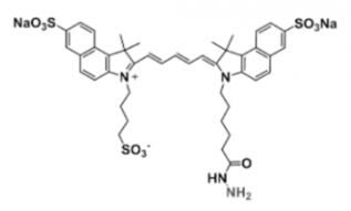 水溶性三磺酸基熒光染料triSulfo-Cy5.5 Hydrazide，Ex/Em(nm) 673/691 的產品參數及結構式解析