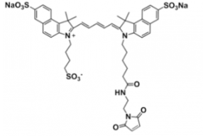 水溶性三磺酸基triSulfo-Cy5.5 maleimide/馬來酰亞胺，溶解度 water,alcohols, DMSO, DMF，Ex/Em(nm) 673/691