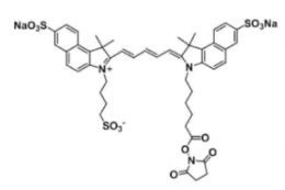 水溶性三磺酸基trisulfo-Cy5.5 NHS ester/琥珀酰亞胺活化酯，Ex/Em(nm) 673/691 產品介紹及結構式解析