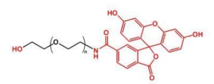 熒光素標記聚乙二醇羥基，FITC-PEG-OH的產品性質及結構式解析