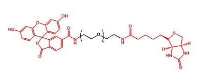 熒光素標記聚乙二醇生物素，FITC-PEG-Biotin，Fluorescent-PEG-Biotin產品性質及結構式解析