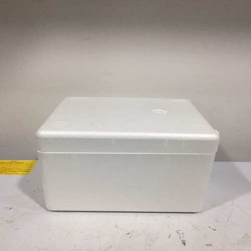 單增李斯特菌的肽核酸(PNA)分子信標(biāo)