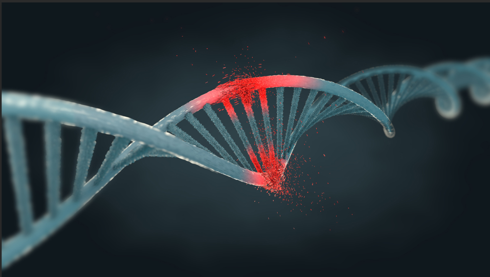 巰基,炔基偶聯DNA