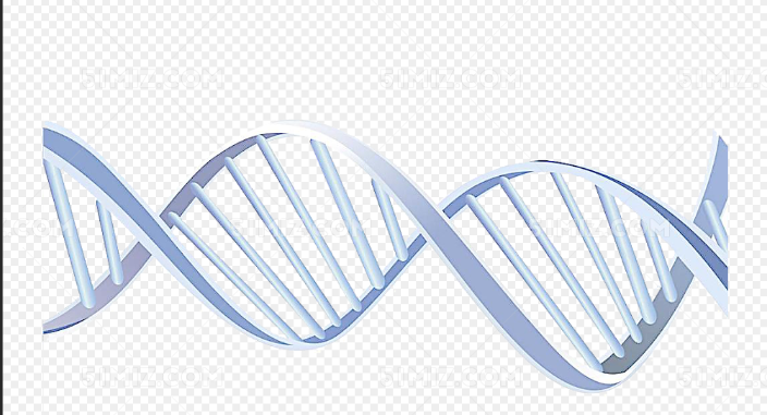 生物素標記DNA(脫氧核糖核酸)