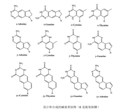 熒光量子點(diǎn)修飾DNA定制服務(wù)