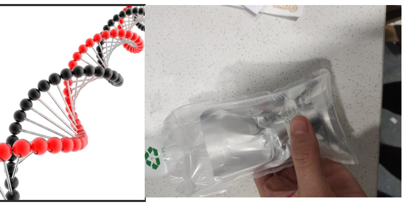 核殼二氧化鈦納米顆粒修飾DNA脫氧核糖核酸