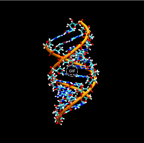 RNA(核糖核酸)偶聯(lián)抗-8-甲基腺苷 (m8A) 抗體