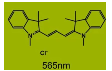 熒光染料CY3偶聯(lián)聚合物納米載體