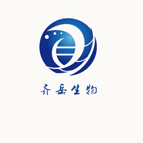 西安齊岳