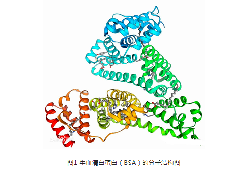 半乳糖化白蛋白磁性阿霉素納米粒
