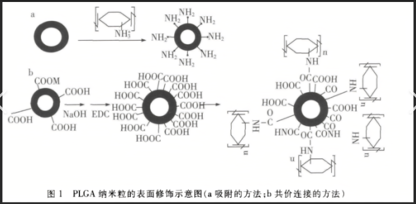 阿魏酸鈉白蛋白納米粒