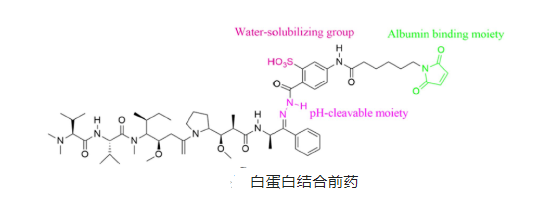 白蛋白