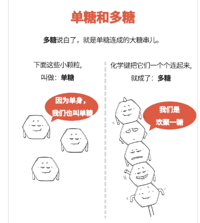 葡聚糖-透明質酸