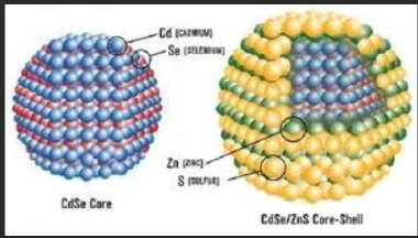 水溶性CdSe/ZnS量子點